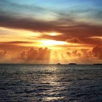 Avatar of Amjad_Hour