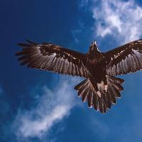 Jeffrey Plew's avatar