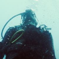 Avatar of Andersongrs