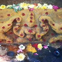 Avatar of Andreabellomamma