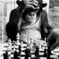 Andrea Della Pietra's avatar