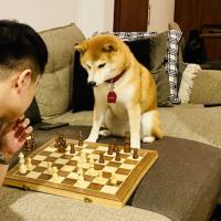 Avatar of androudini