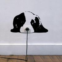 Avatar of Angelina Kim