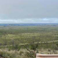 AnimationDomination9's avatar