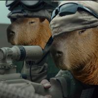 Avatar of AnonymousChess2005