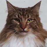 Alberto Fabris's avatar