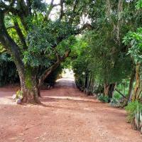 Avatar of Antonio Fonseca