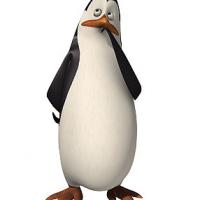 Antoni Szustakowski's avatar