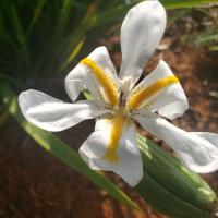 Avatar of anw0119