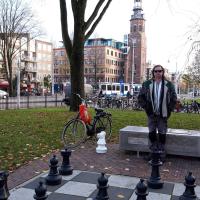 Aran Köhler's avatar