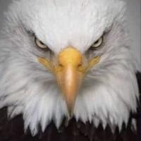 Avatar of Chris Lively