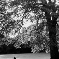 Avatar of Armchairdad