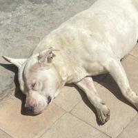 Avatar of arrozconwebo