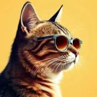 Avatar of ArtemovychT