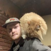 Avatar of artificialred33