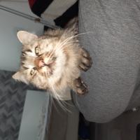 Avatar of ArtMilovar