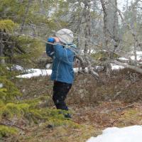 Asmund Hammerstad's avatar