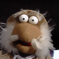 Anita Gronnestad's avatar