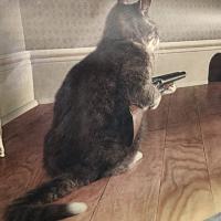 Avatar of Mike Hogan