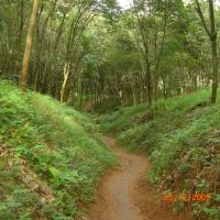 Avatar of IL  Gunawan 1980