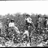 Avatar of Asvaloupas