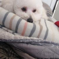 Carlos Felipe Squella Lavin's avatar