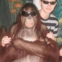 Avatar of Aurélien Alexandre