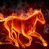 Yair Parkhov's avatar