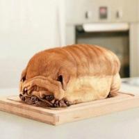 Pierre-Louis Pieri's avatar