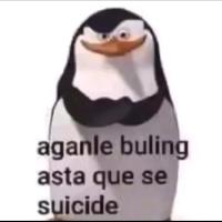 Avatar of Dávalos Berrocal Axel Rodrigo Sub 10