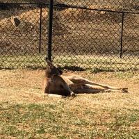 babadroga92's avatar