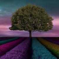 Avatar of Александр Баблов