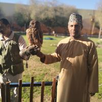 Avatar of ملك الشطرنج