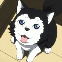 Agnieszka Dmochowska's avatar