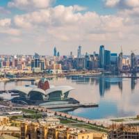 Rauf Mamedov's avatar