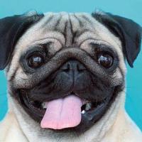 Avatar of balance305