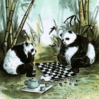 Avatar of Bambusbjeorn