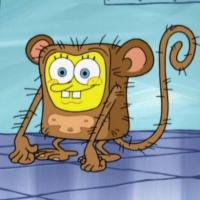 Avatar of Banaenaemonkey