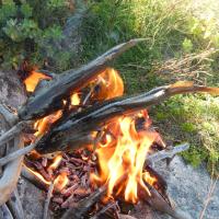 Mikhail V. Kuznetsov's avatar