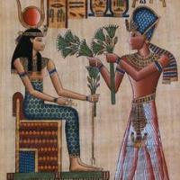 Avatar of Mohmmad Barwash