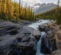 Avatar of Baskingatsunshining