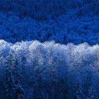 Batsaikhan Tserendorj's avatar