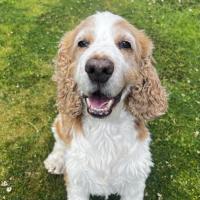 Avatar of Bazpack444