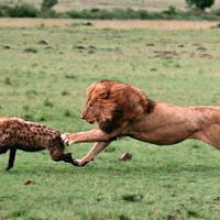 BeastsLoveTheProcess's avatar