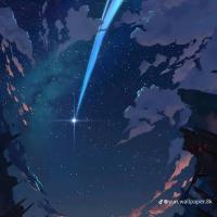 Avatar of Bee Shark^•^