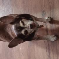 Avatar of Brock Burkett