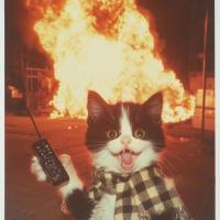 Avatar of bekhruz tukhtamuradov