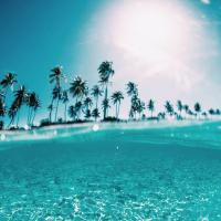 Avatar of BeLikeWat3r