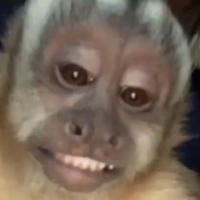 Avatar of Bemmmebicon