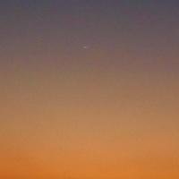 Avatar of Gaming King